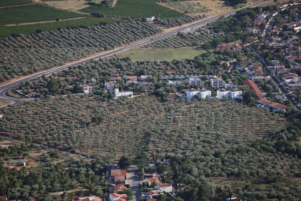 Photo of Outdoor in El Mas Bosca