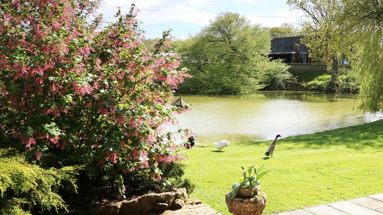 Photo of Outdoor in St Michaels