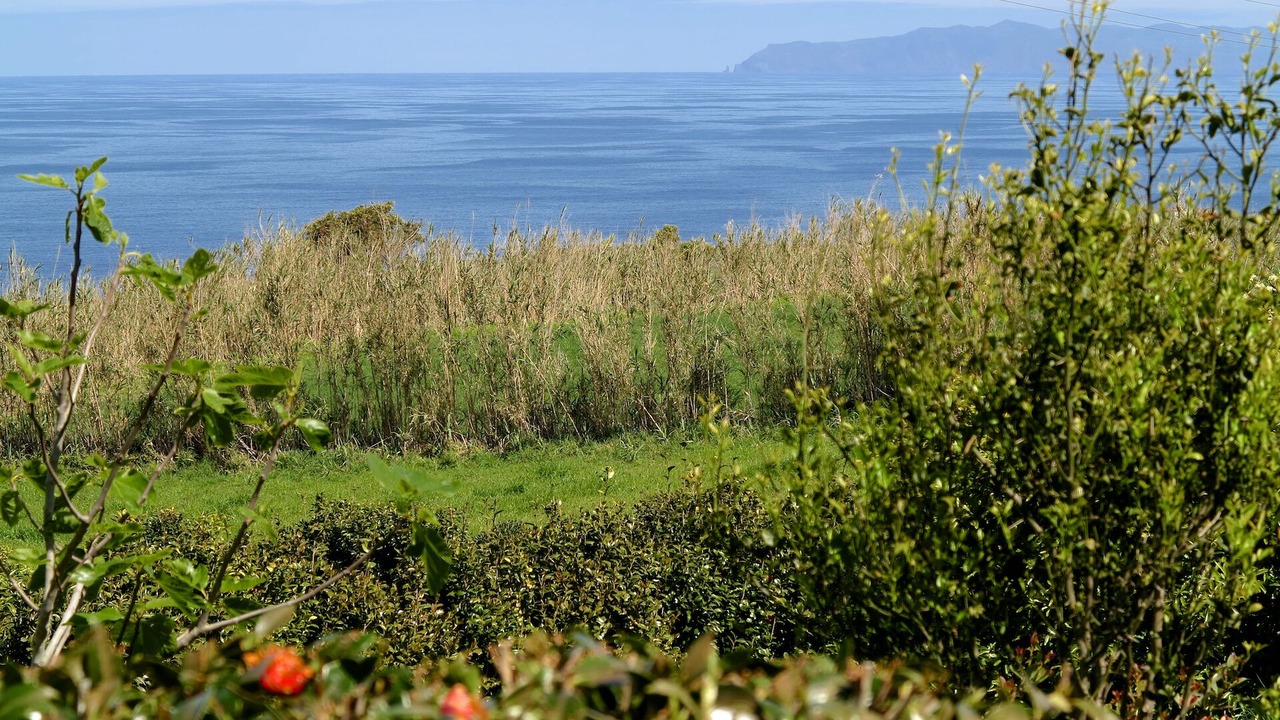 Photo of Others in Cedros