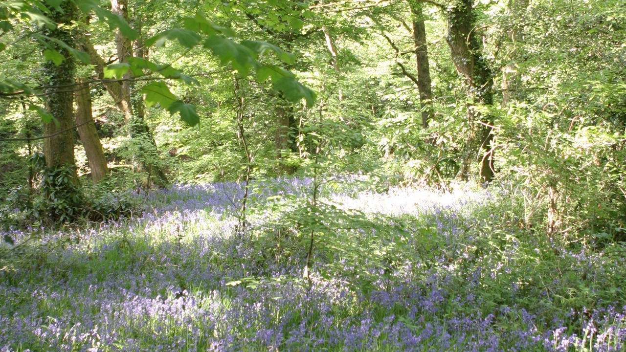 Photo of Others in Margam