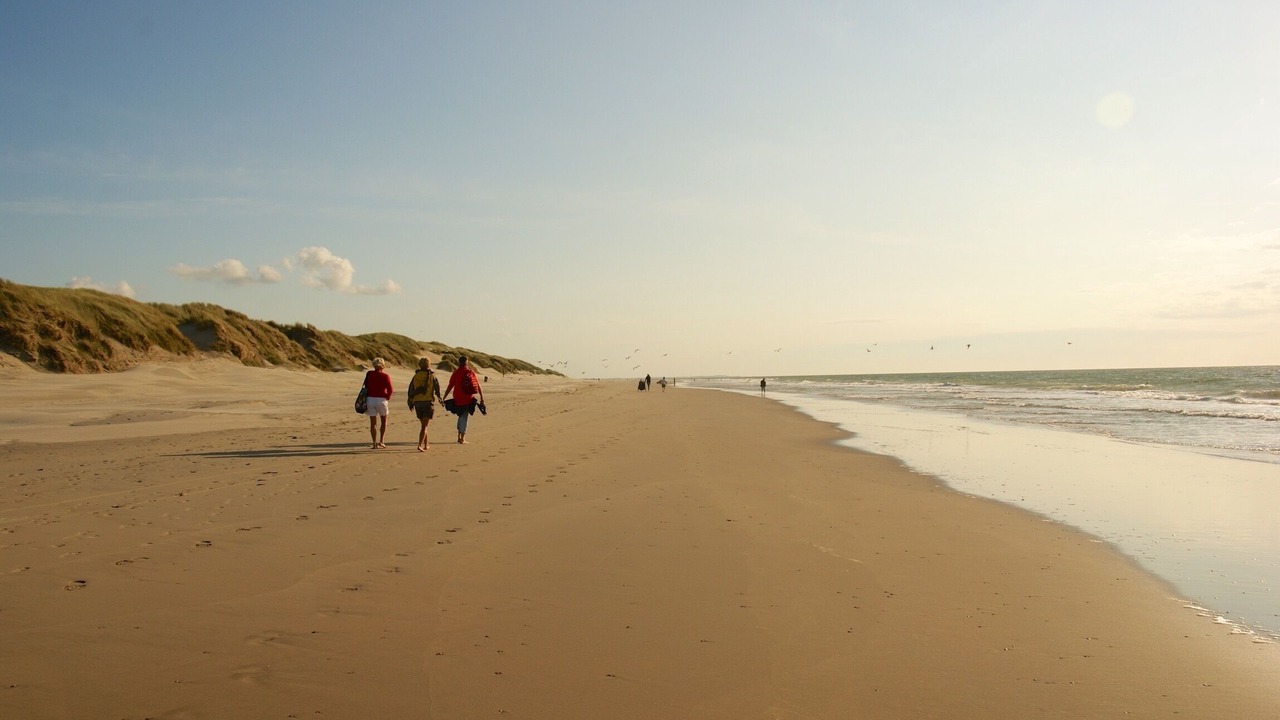 Photo of Others in Renesse
