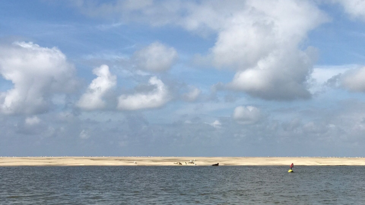 Photo of Others in Renesse