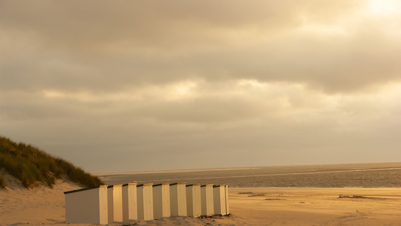 Photo of Others in Renesse