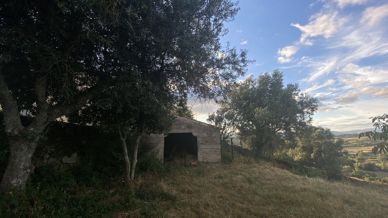 Photo of Outdoor in Vila Ruiva