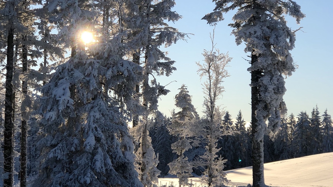 Photo of Outdoor in Xonrupt-Longemer