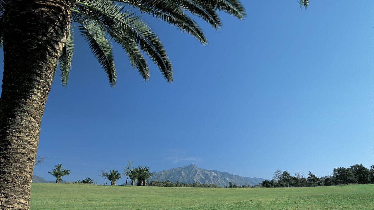 Photo of Others in Guadalmina