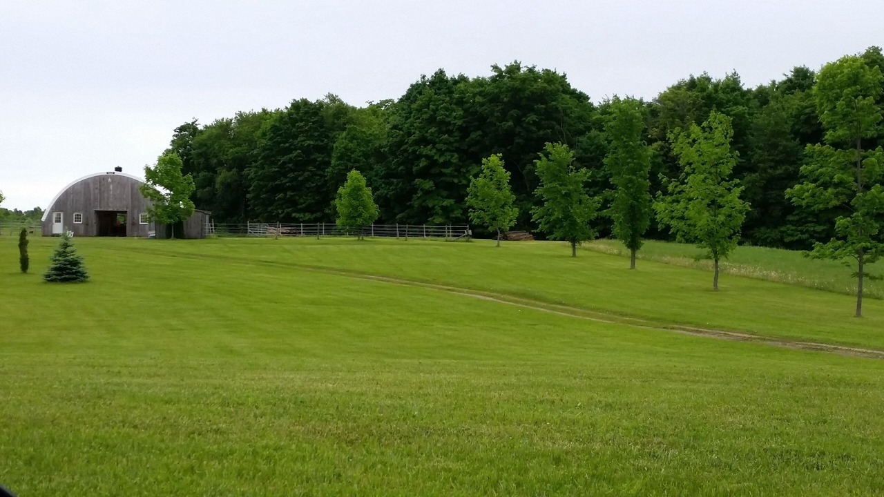 Photo of Outdoor in Mulmur