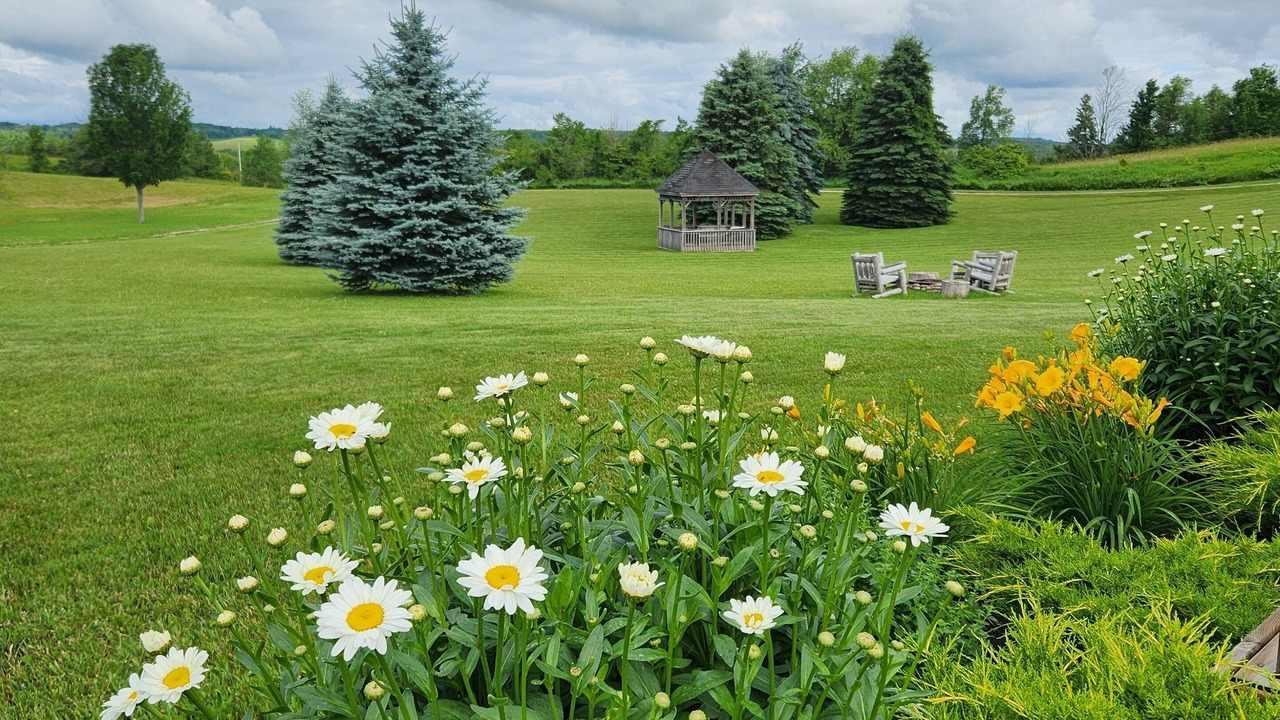 Photo of Outdoor in Mulmur