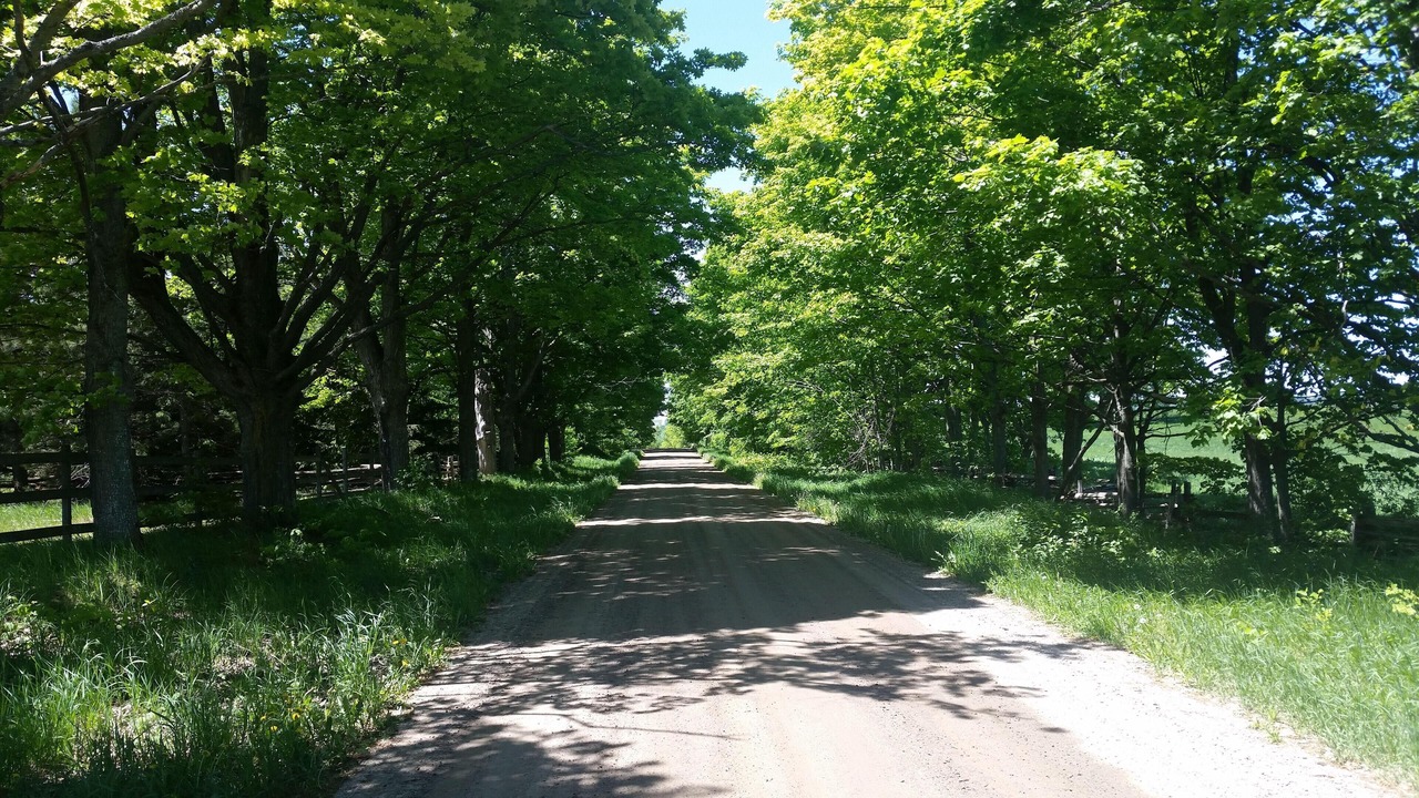 Photo of Others in Mulmur