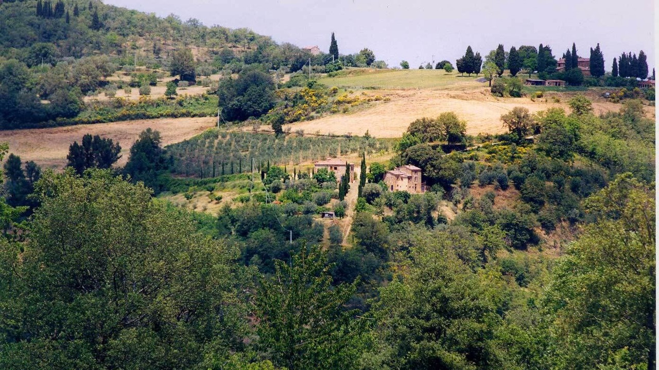 Photo of Outdoor in Montefollonico