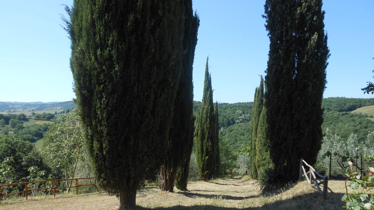 Photo of Outdoor in Montefollonico