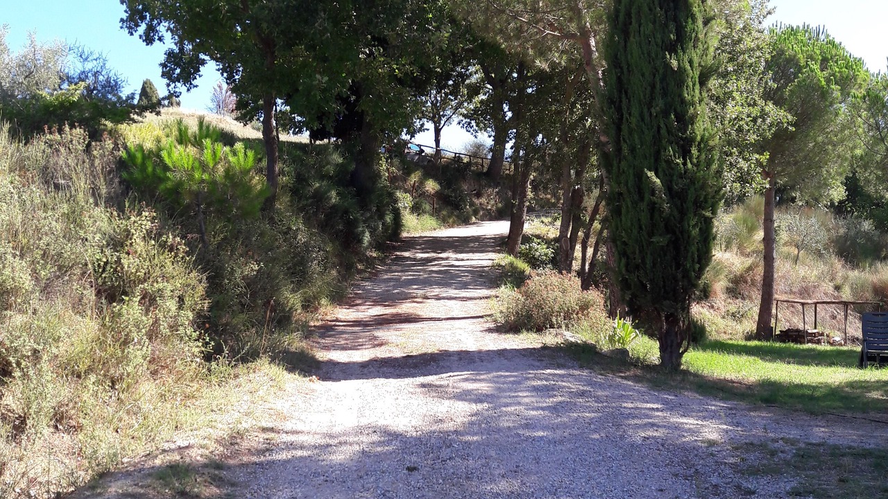 Photo of Outdoor in Montefollonico