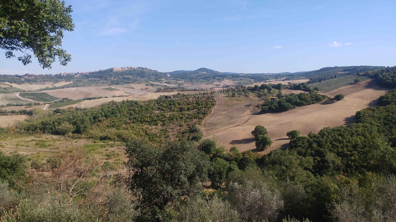 Photo of Others in Montefollonico