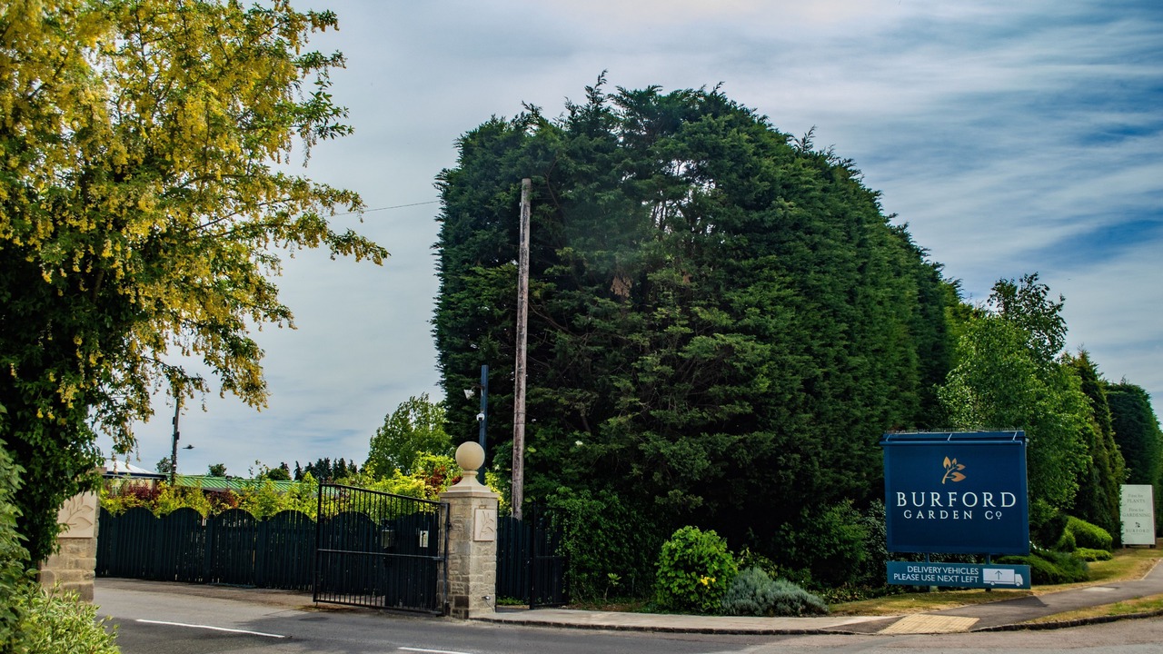 Photo of Outdoor in Filkins