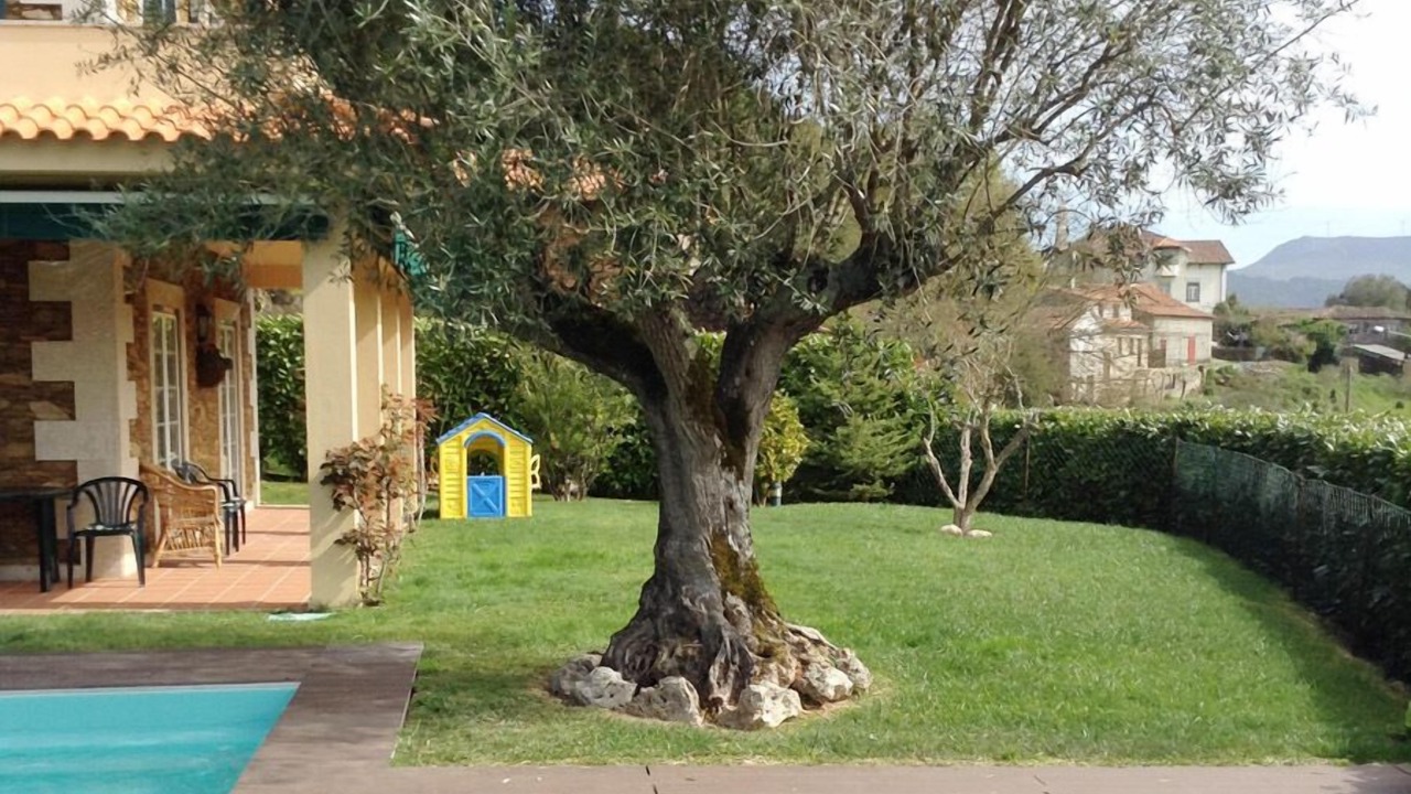 Photo of Outdoor in Marinhas