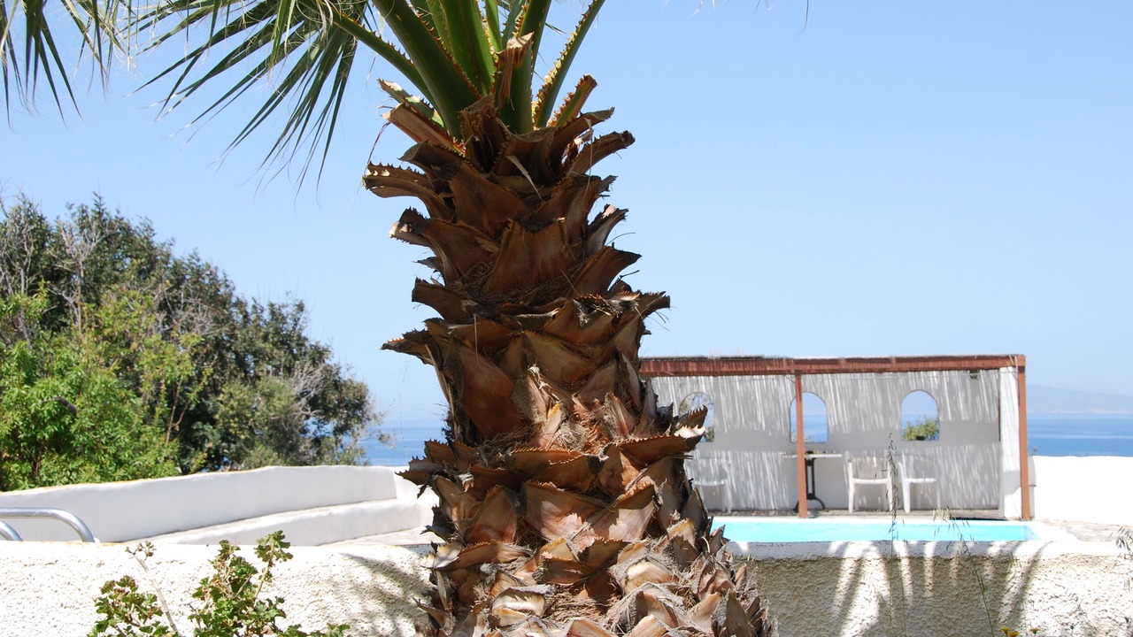 Photo of Outdoor in Kamari