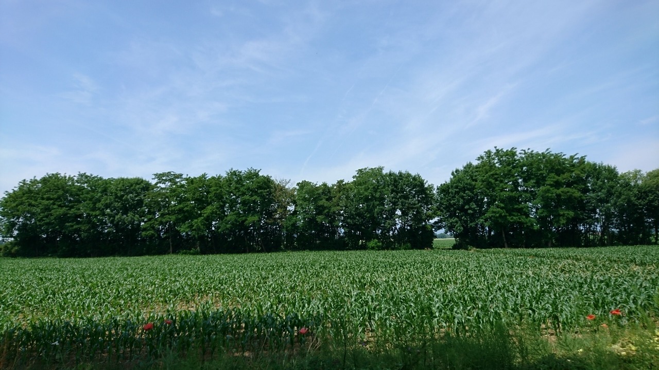 Photo of Others in Baldersheim