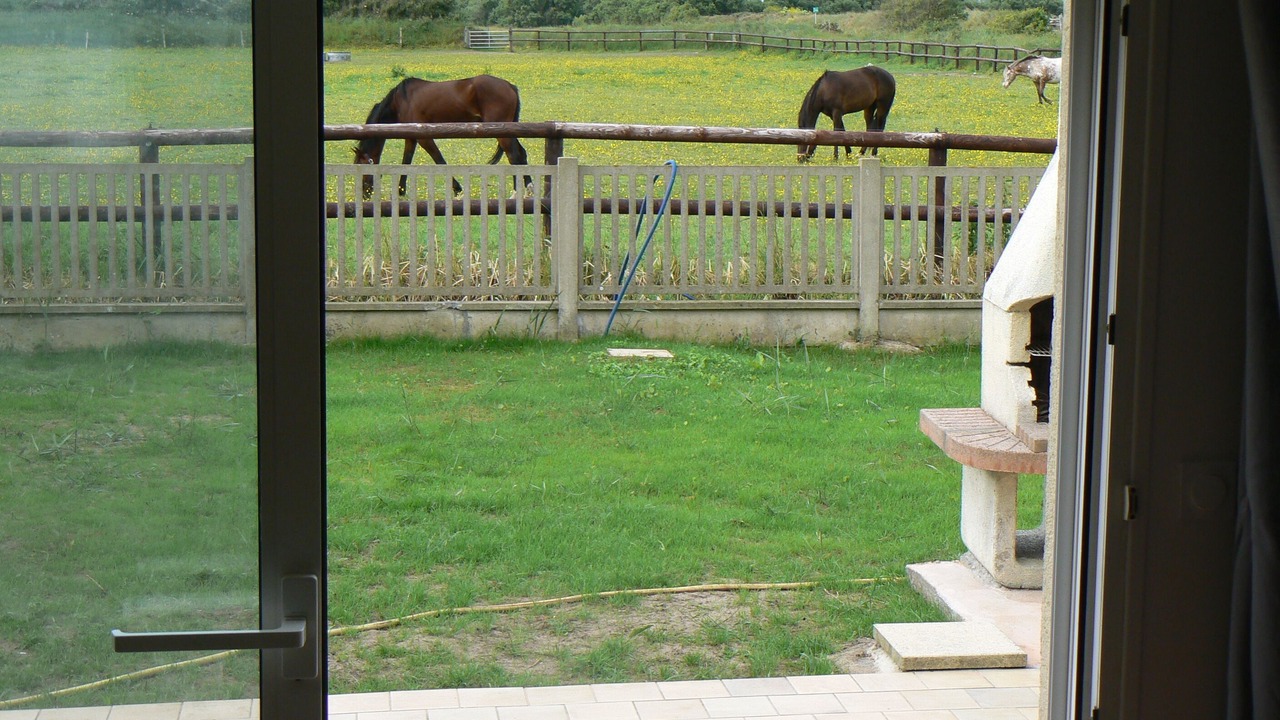 Photo of Others in Sainte-Marie-du-Mont