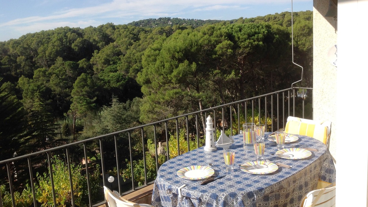 Photo of Outdoor in Tamariu