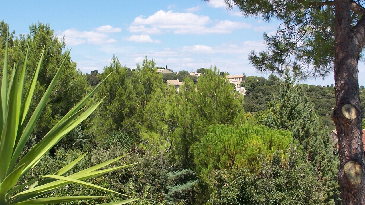 Photo of Outdoor in Combaillaux