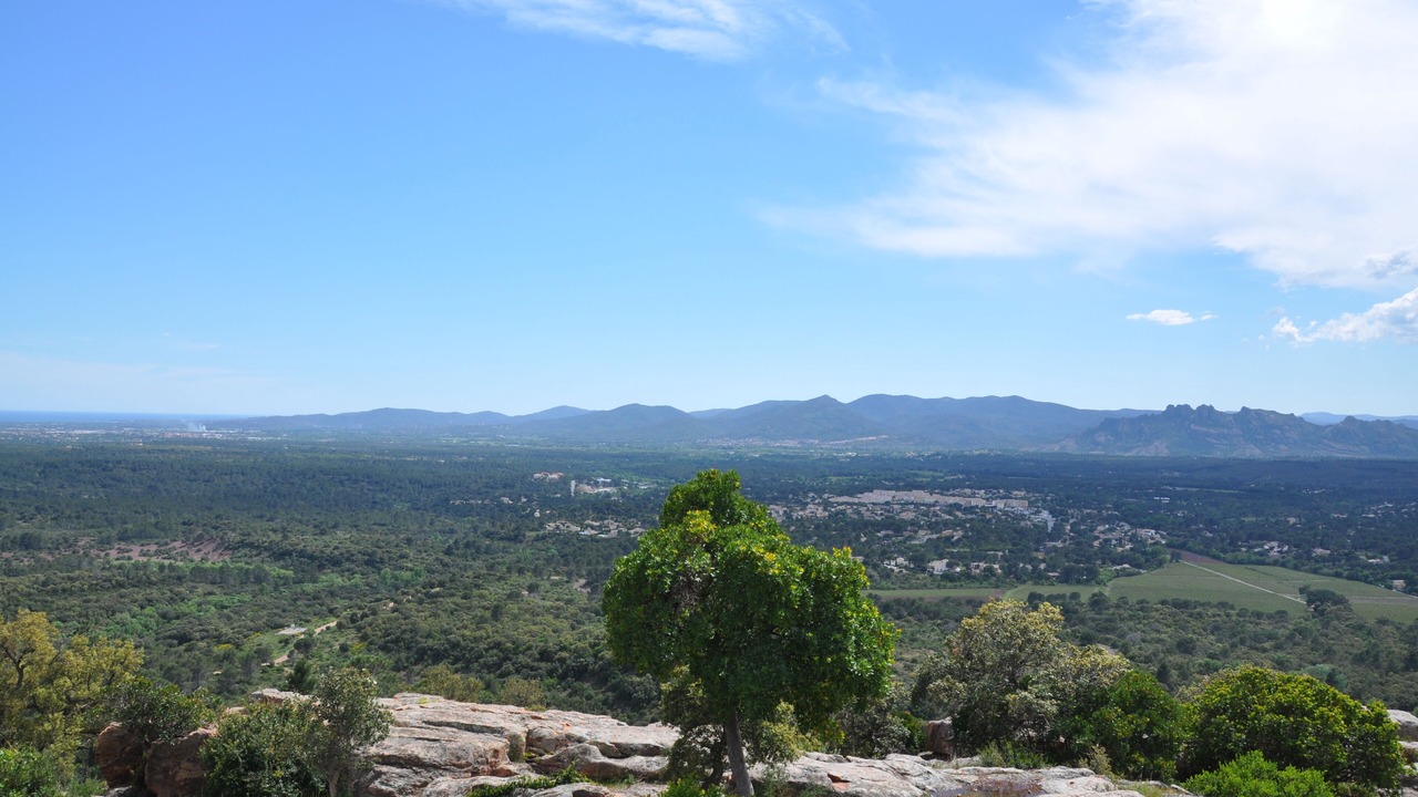 Photo of Others in Roquebrune-sur-Argens