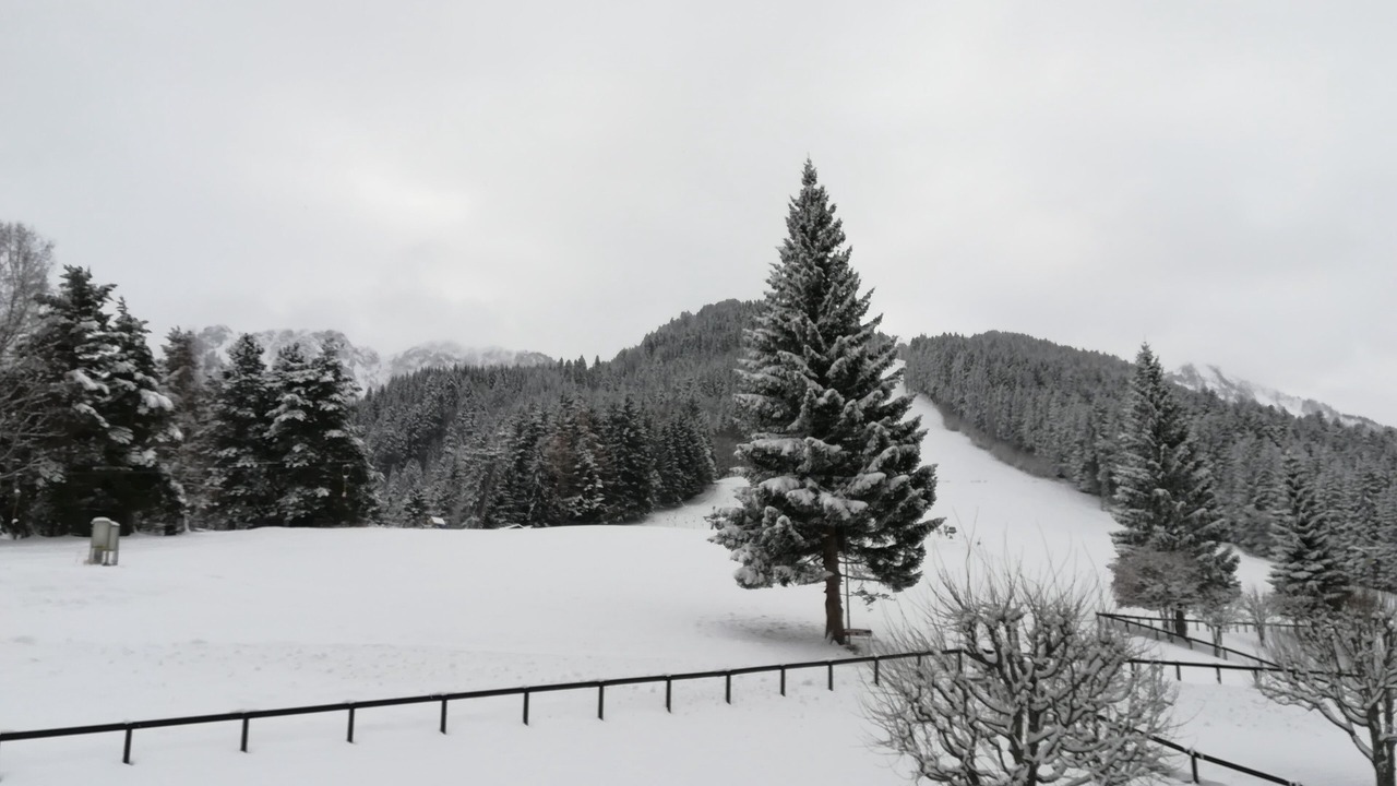 Photo of Others in Vionnaz