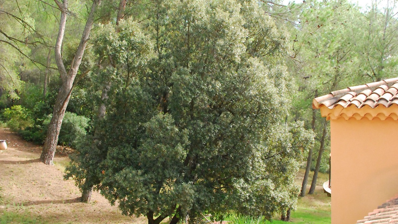 Photo of Outdoor in Tarascon