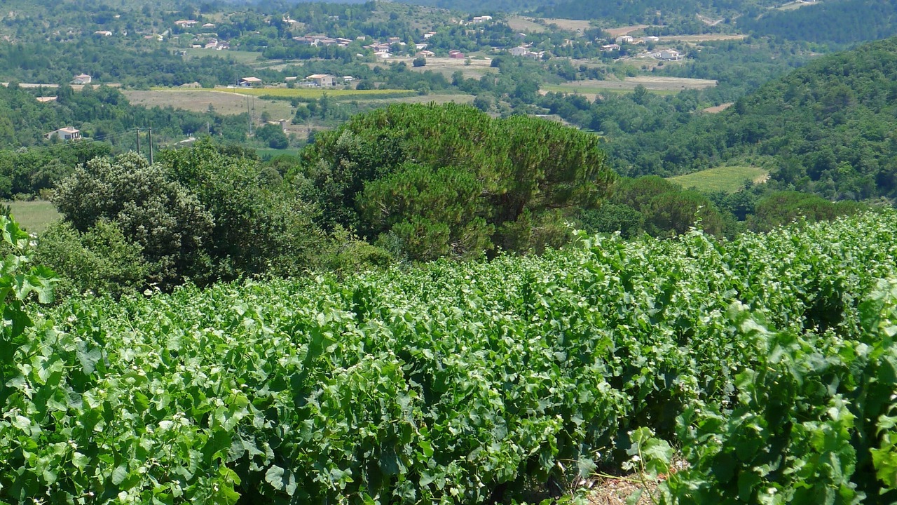 Photo of Outdoor in Verzeille