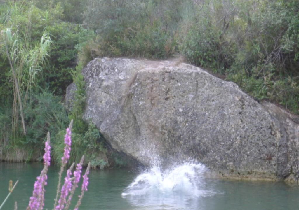 Photo of Outdoor in Verzeille