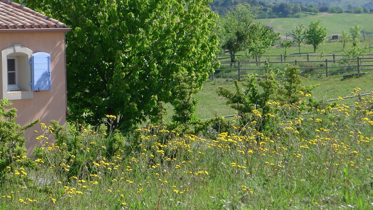 Photo of Outdoor in Verzeille
