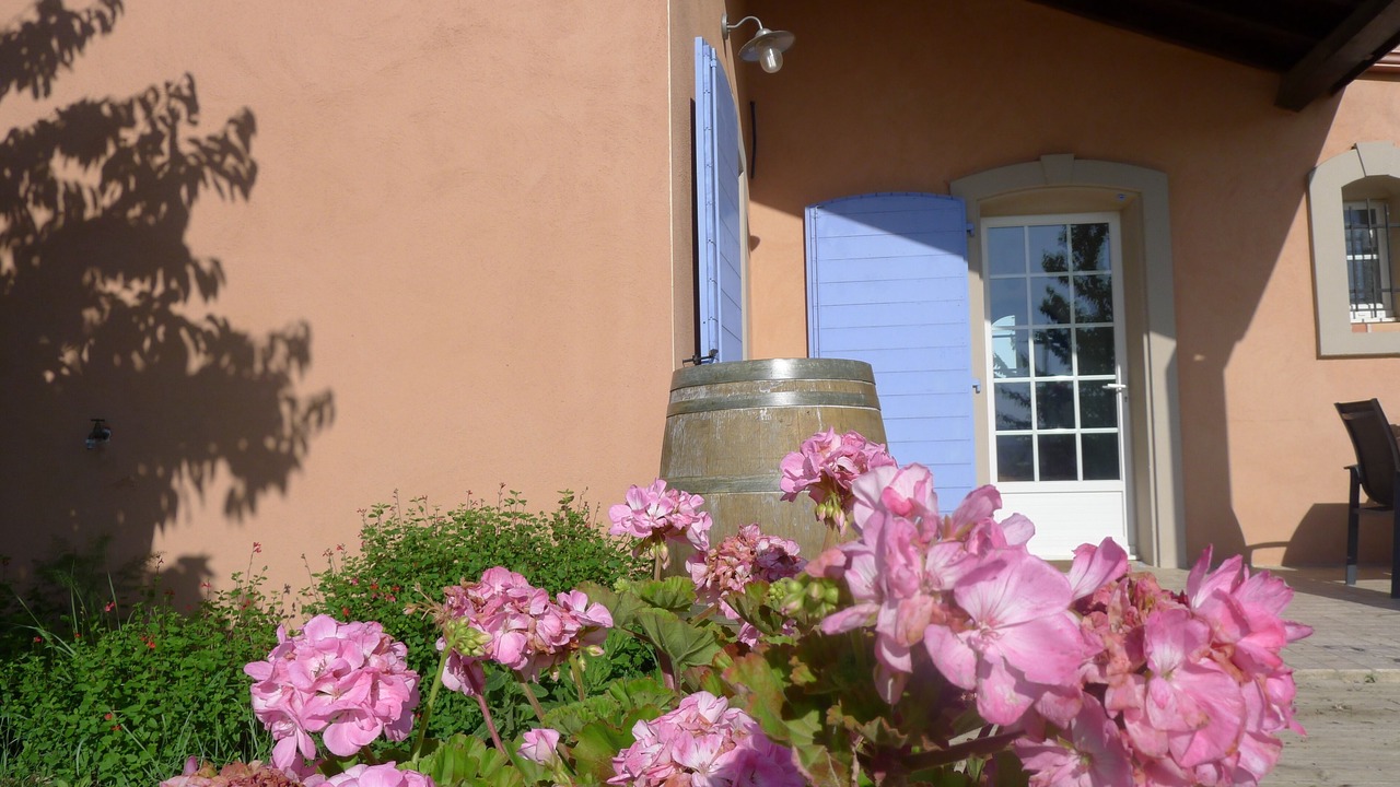 Photo of Outdoor in Verzeille