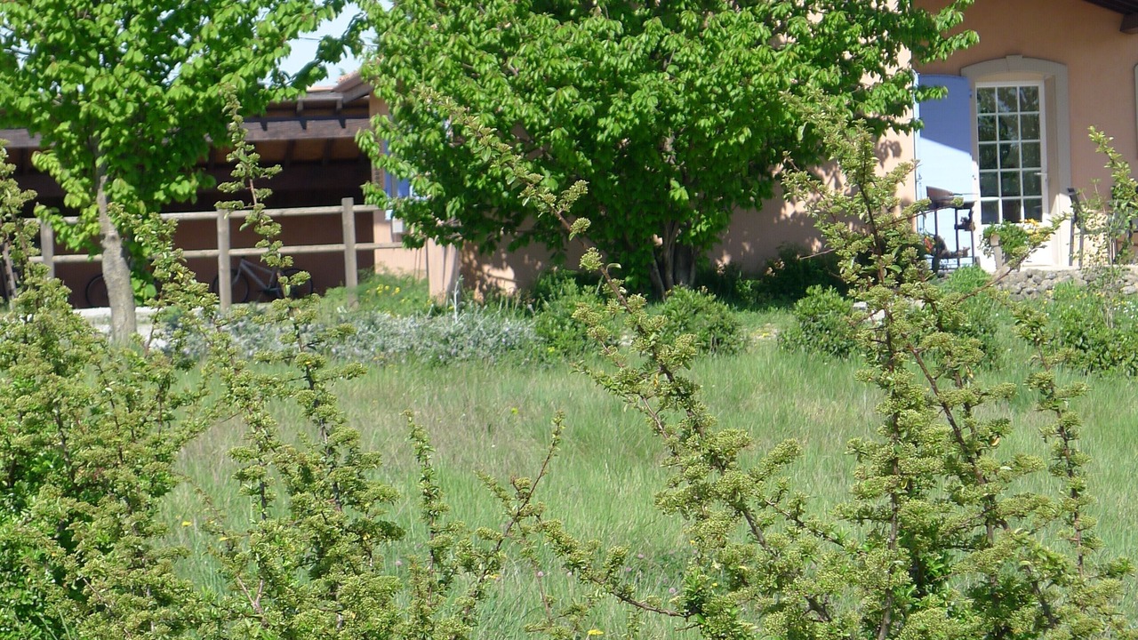 Photo of Outdoor in Verzeille