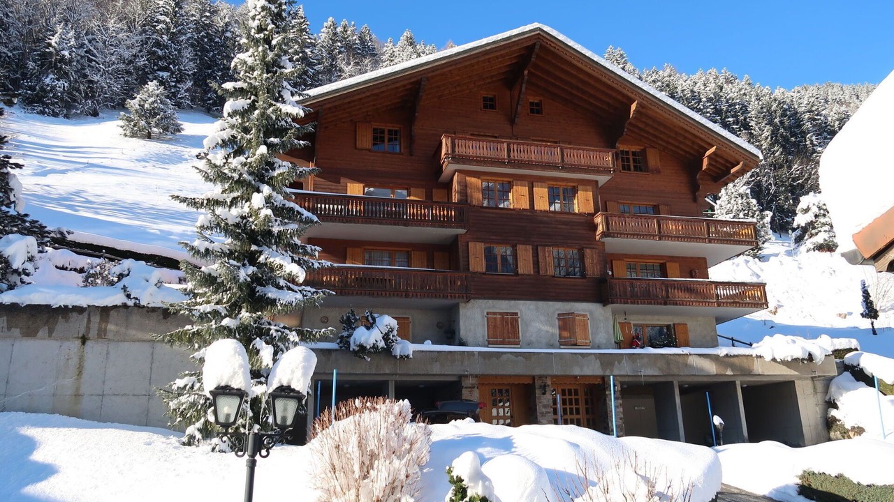 Photo of Others in Champery