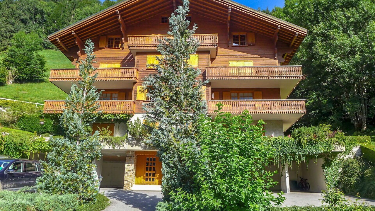 Photo of Others in Champery