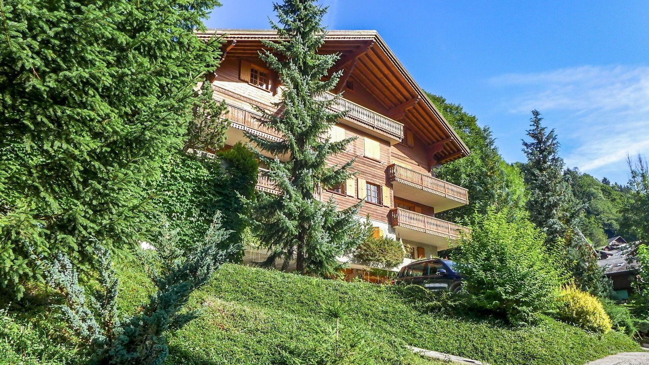 Photo of Others in Champery