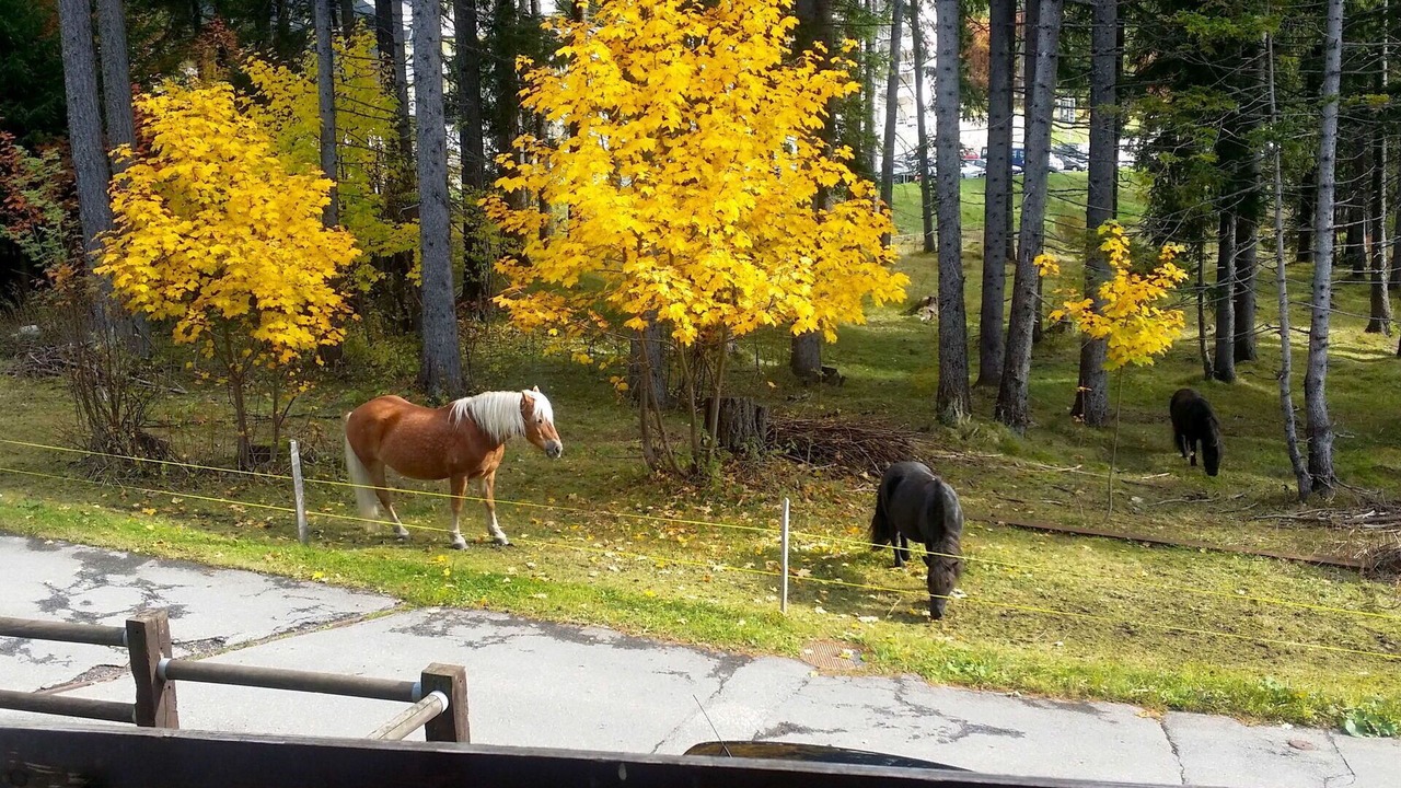 Photo of Others in Lenzerheide