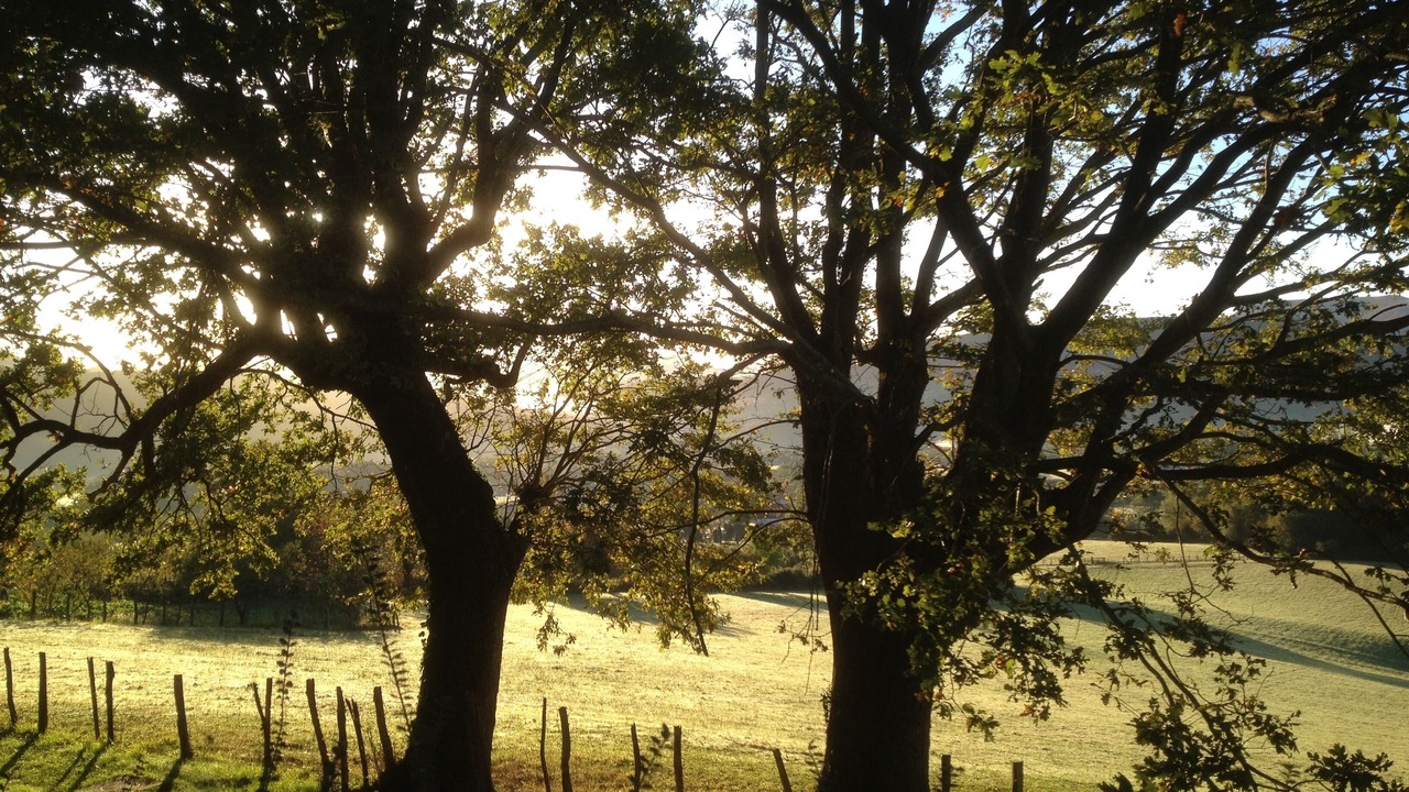 Photo of Outdoor in Itxassou