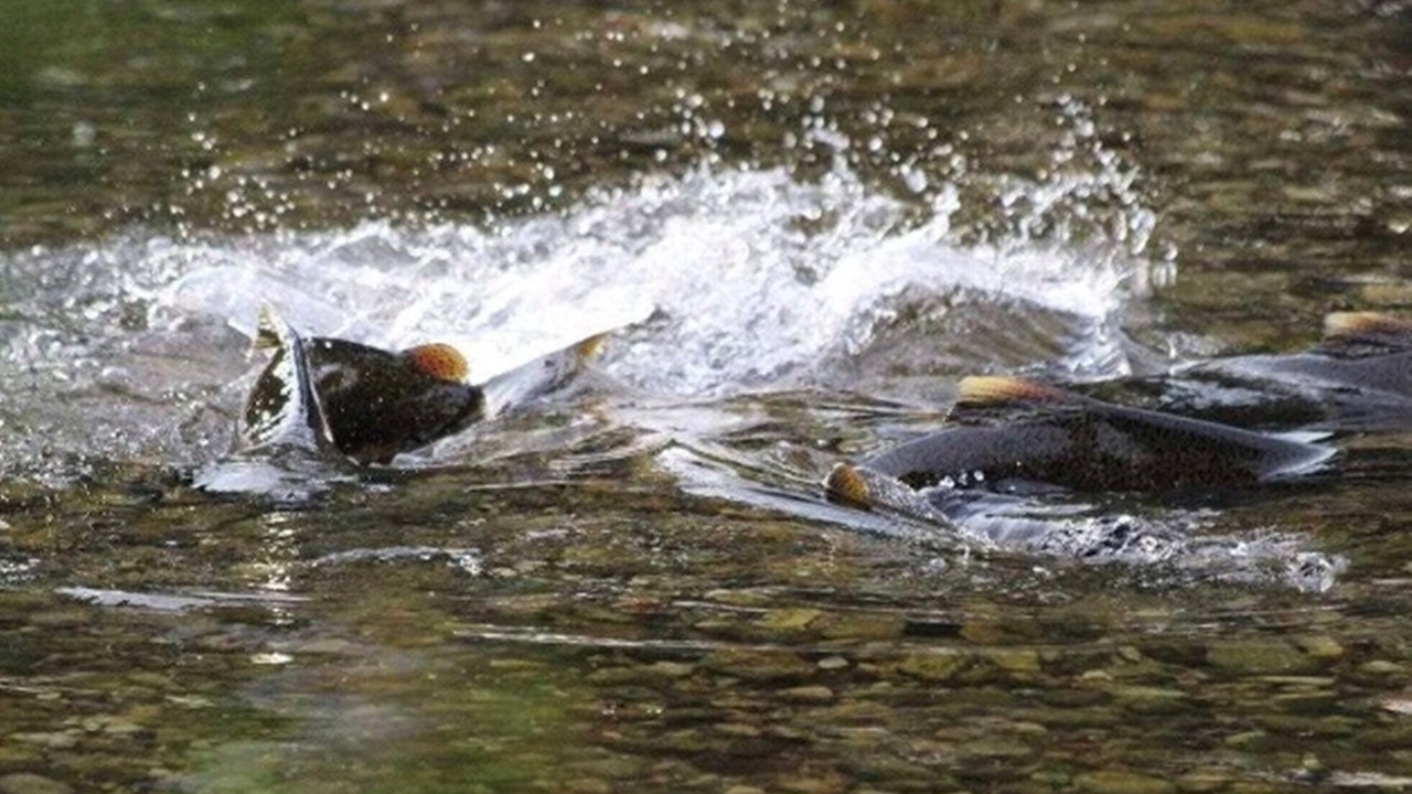 Photo of Others in Thompsonville