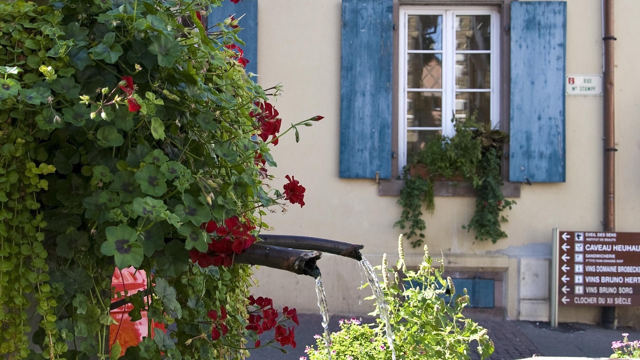 Photo of Outdoor in Eguisheim