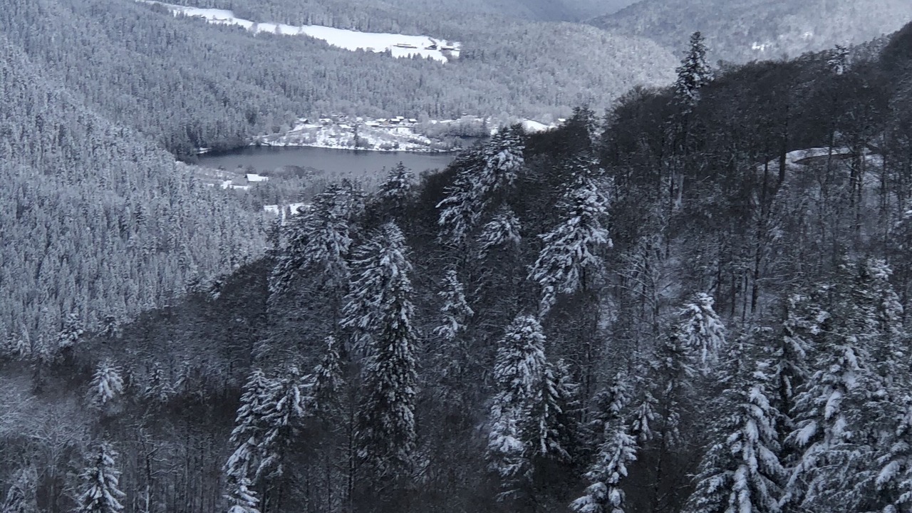 Photo of Others in Gerardmer