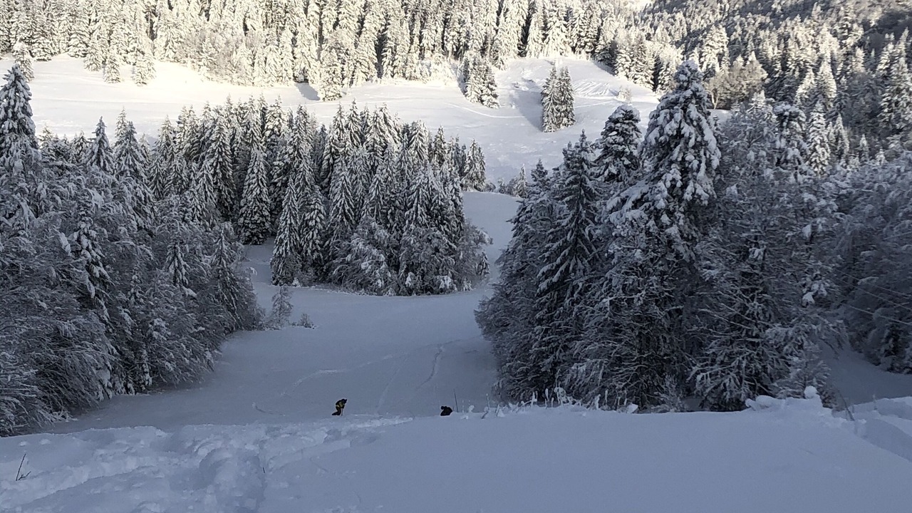 Photo of Others in Gerardmer