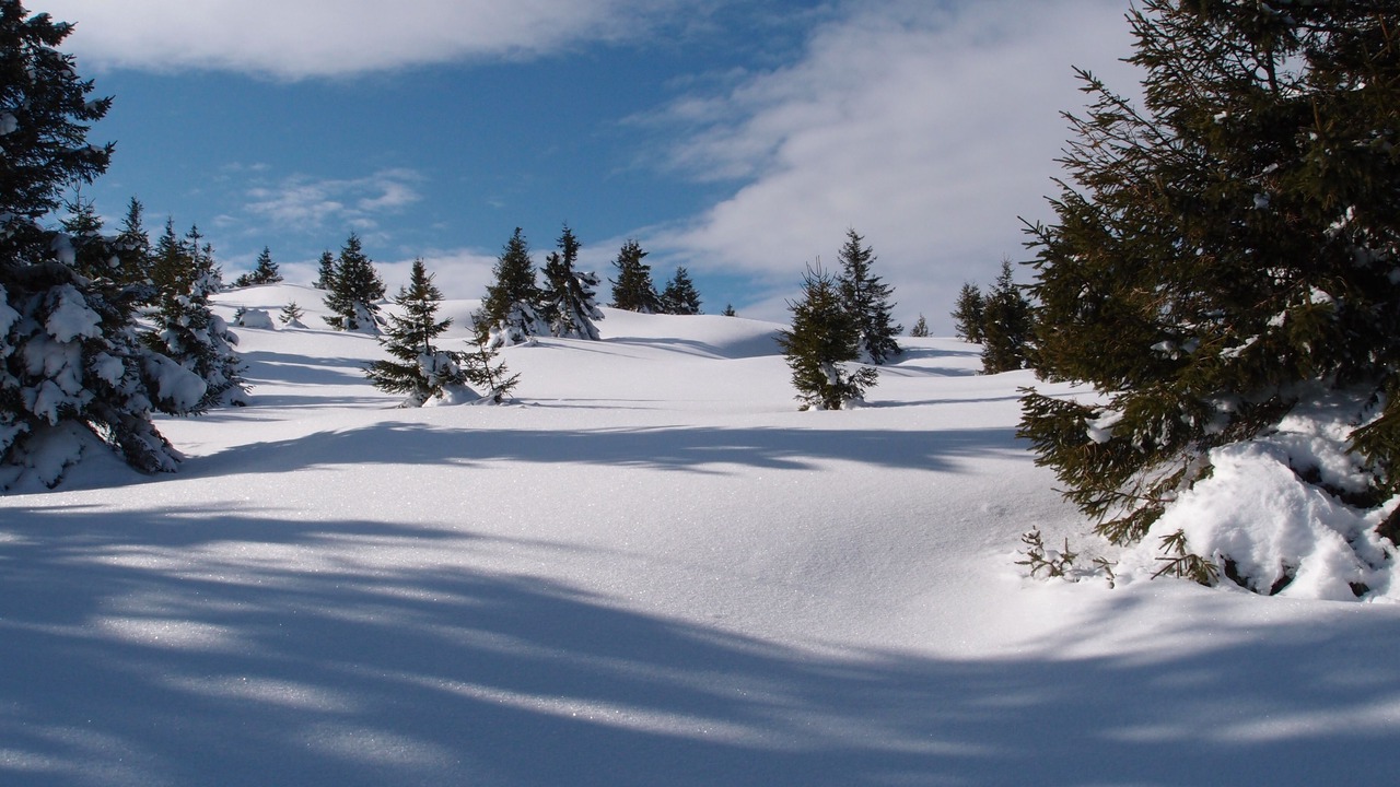 Photo of Others in Gerardmer