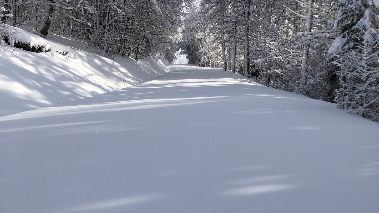 Photo of Others in Gerardmer
