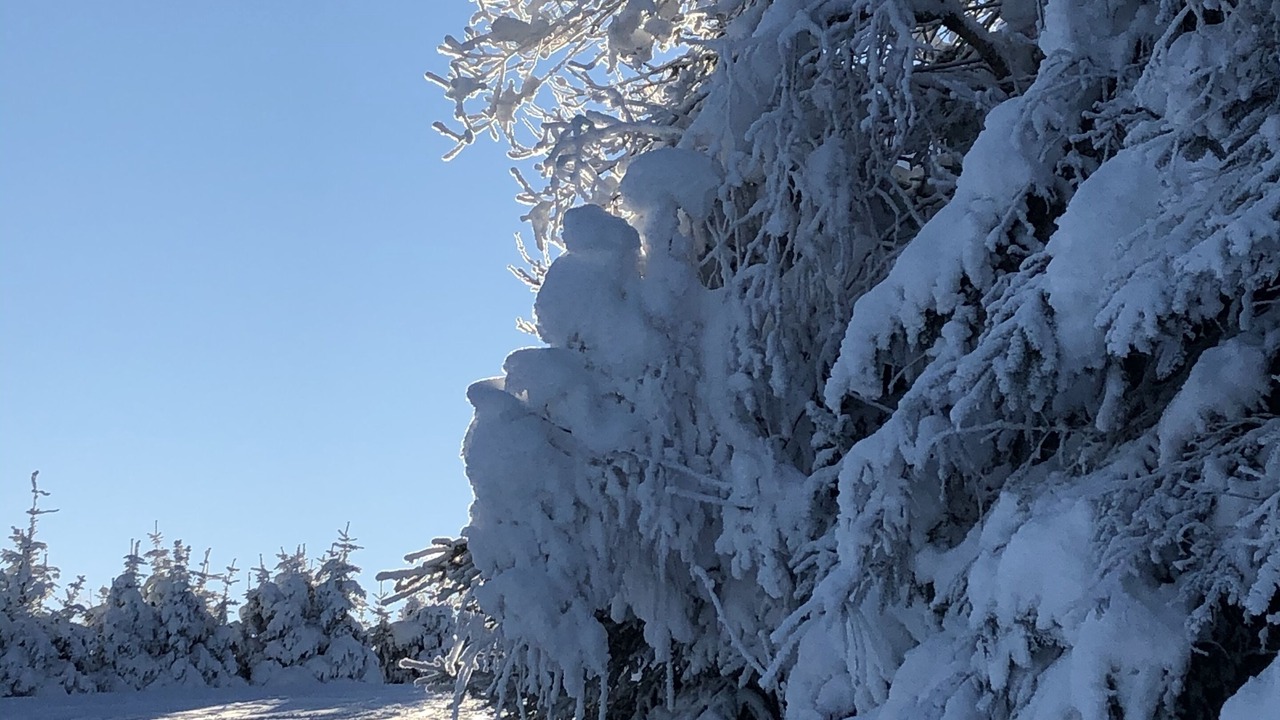 Photo of Outdoor in Gerardmer