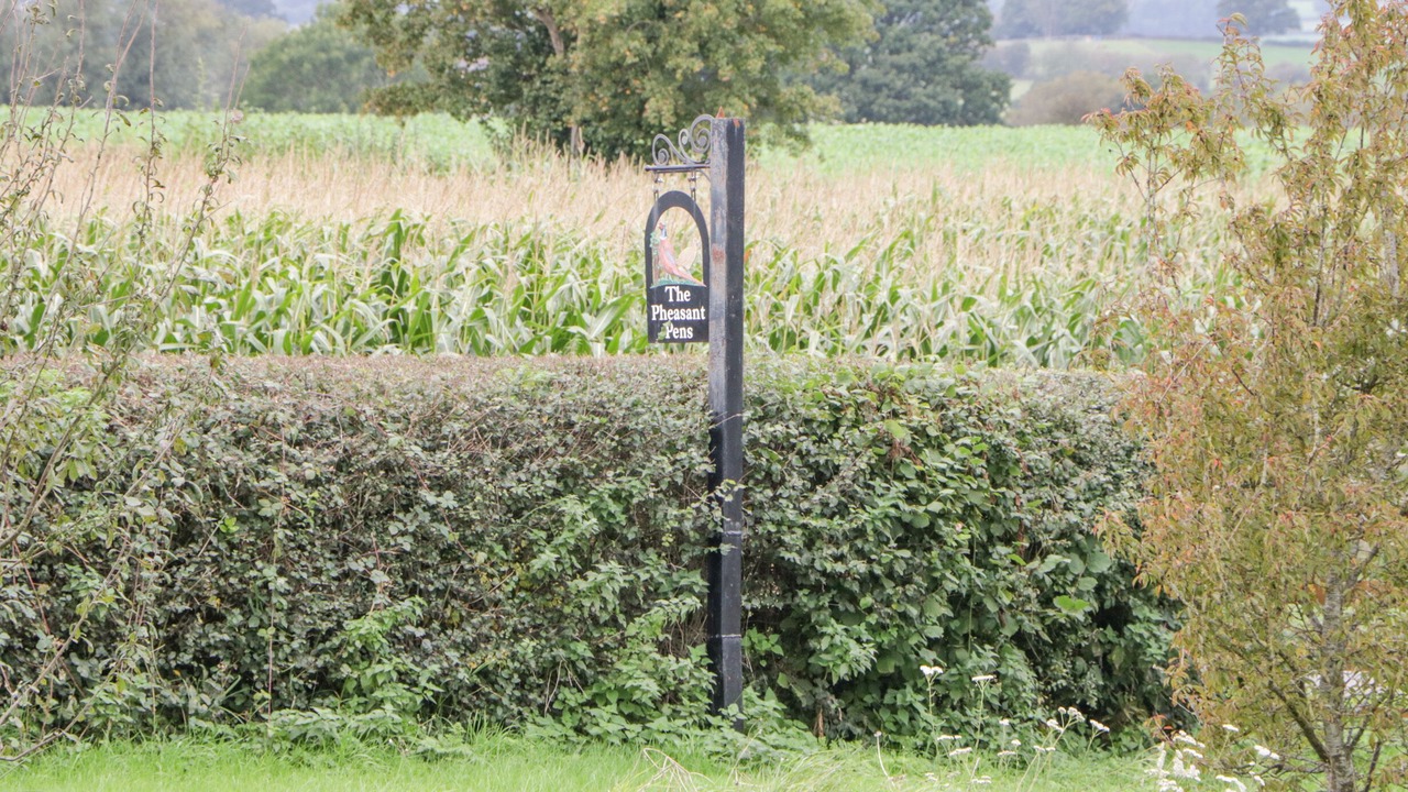 Photo of Outdoor in Usk