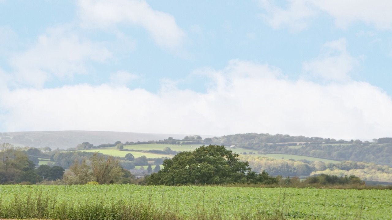 Photo of Outdoor in Usk