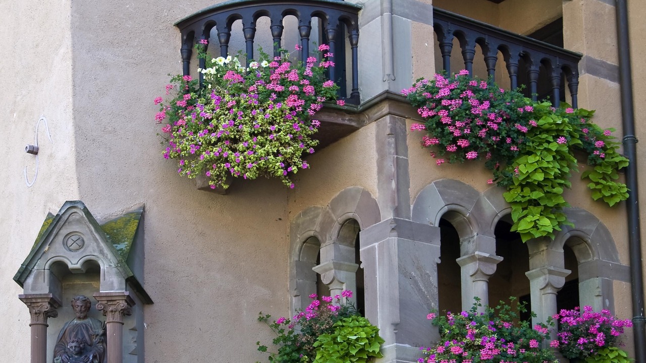 Photo of Outdoor in Eguisheim