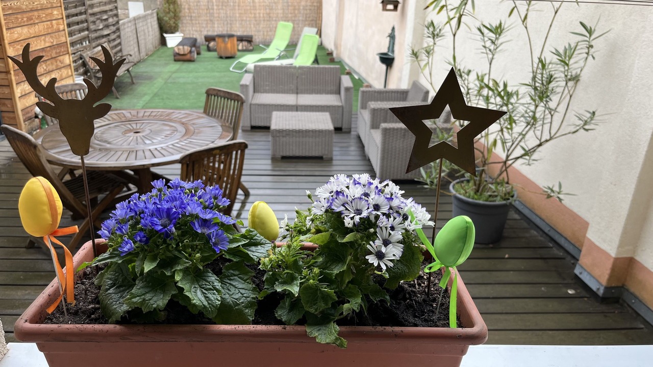 Photo of Outdoor in Eguisheim