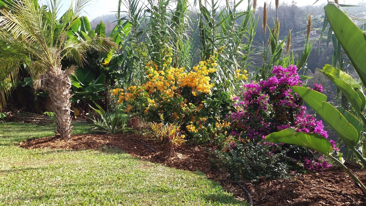 Photo of Outdoor in Estreito da Calheta