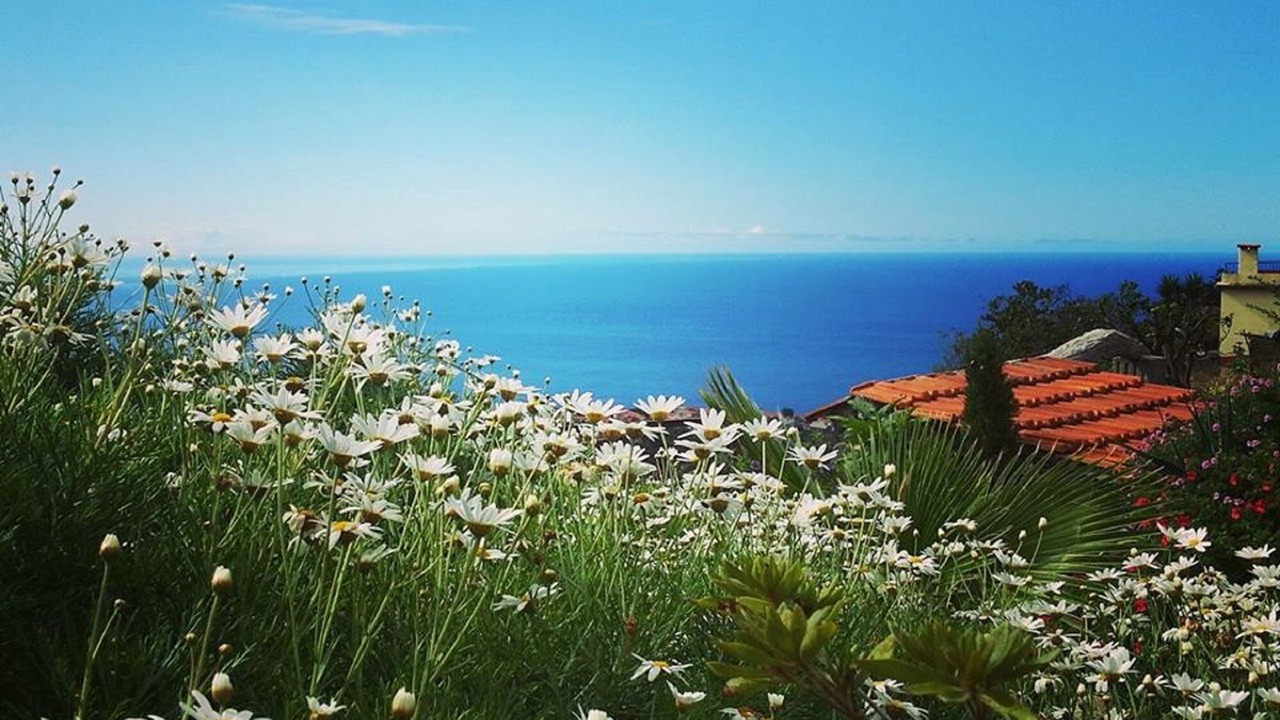 Photo of Others in Estreito da Calheta